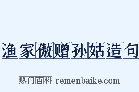 渔家傲赠孙姑造句是什么意思的图片